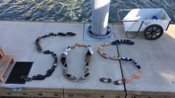 Staff Summer Boat Trip