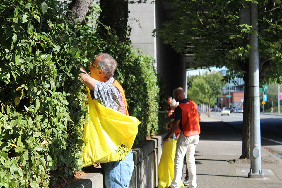 Atlas employees reaching into hedge to clean up trash hidden within